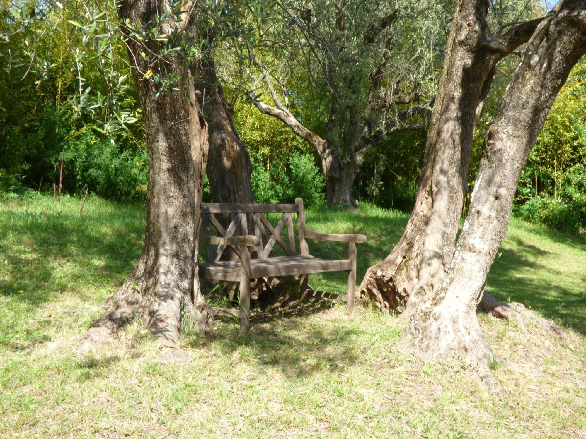 Apartment Cezanne With Heated Pool And Private Garden Chateauneuf-Grasse Экстерьер фото