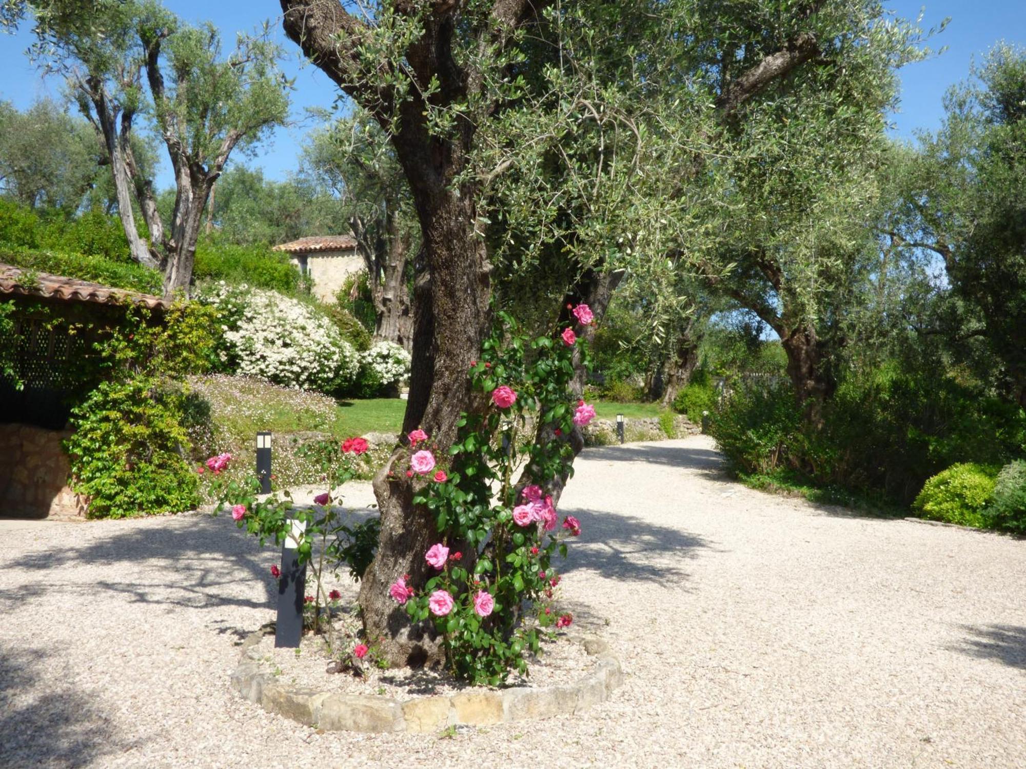 Apartment Cezanne With Heated Pool And Private Garden Chateauneuf-Grasse Экстерьер фото