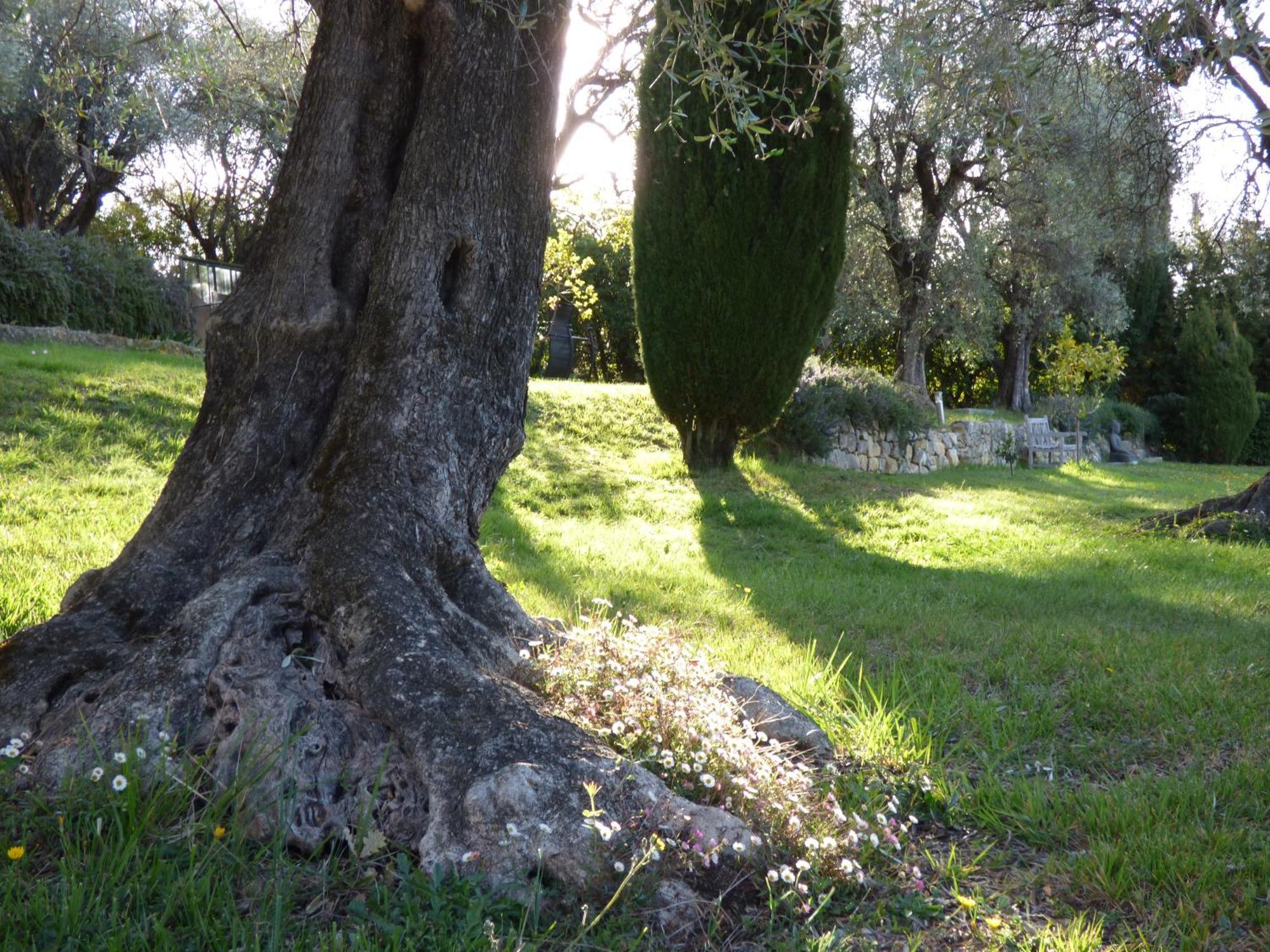 Apartment Cezanne With Heated Pool And Private Garden Chateauneuf-Grasse Экстерьер фото